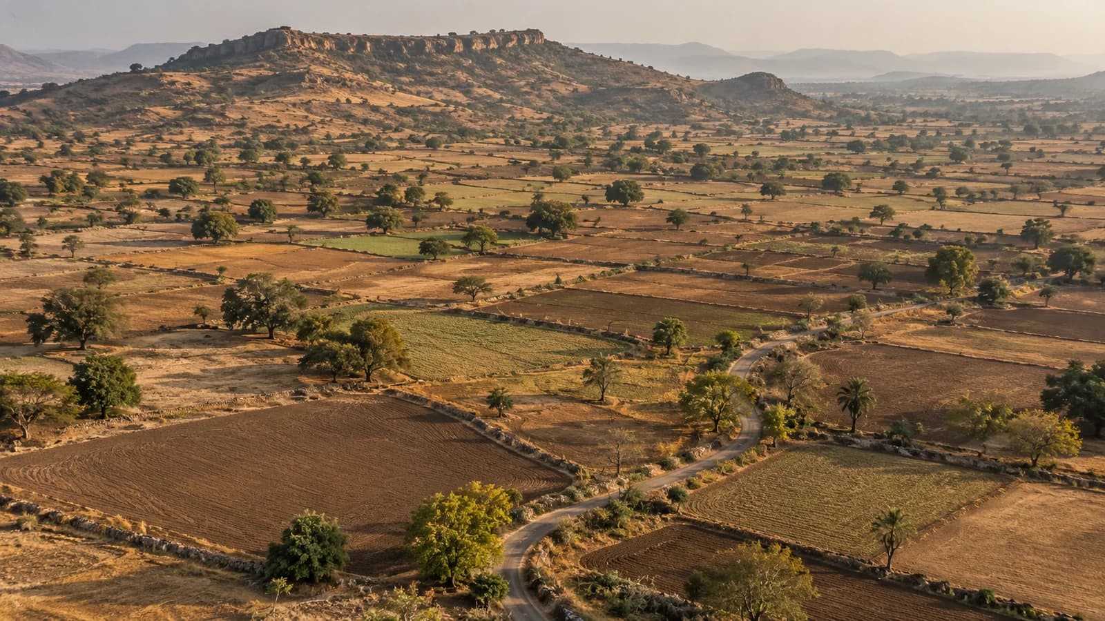 Illustrative aerial view of agricultural land parcels and undulating terrain